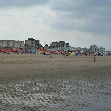 Huisje Aan Zee A 노르트베이크